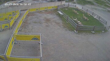 Serfaus-Fiss-Ladis Waldbahn Valley Station snow cam captured at 29 September 2026 at 5:05 pm GMT+2