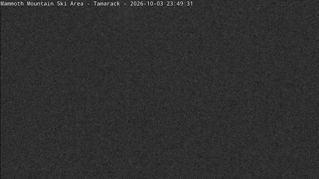 Mammoth Mountain Tamarack XC Ski Center snow cam captured at 3 October 2026 at 11:49 pm GMT-7
