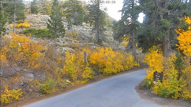Mammoth Mountain Tamarack XC Ski Center snow cam captured at 5 October 2026 at 5:48 pm GMT-7