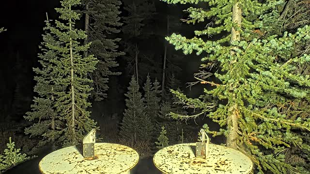 Steamboat Champagne Powder Snow Stake snow cam captured at 3 October 2026 at 11:55 pm GMT-6