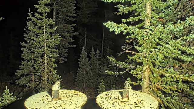 Steamboat Champagne Powder Snow Stake snow cam captured at 4 October 2026 at 11:53 pm GMT-6