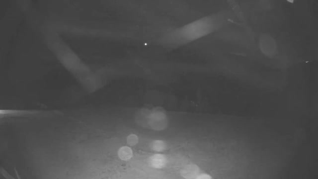Deer Valley Galena Express snow cam captured at 3 October 2026 at 11:52 pm GMT-6