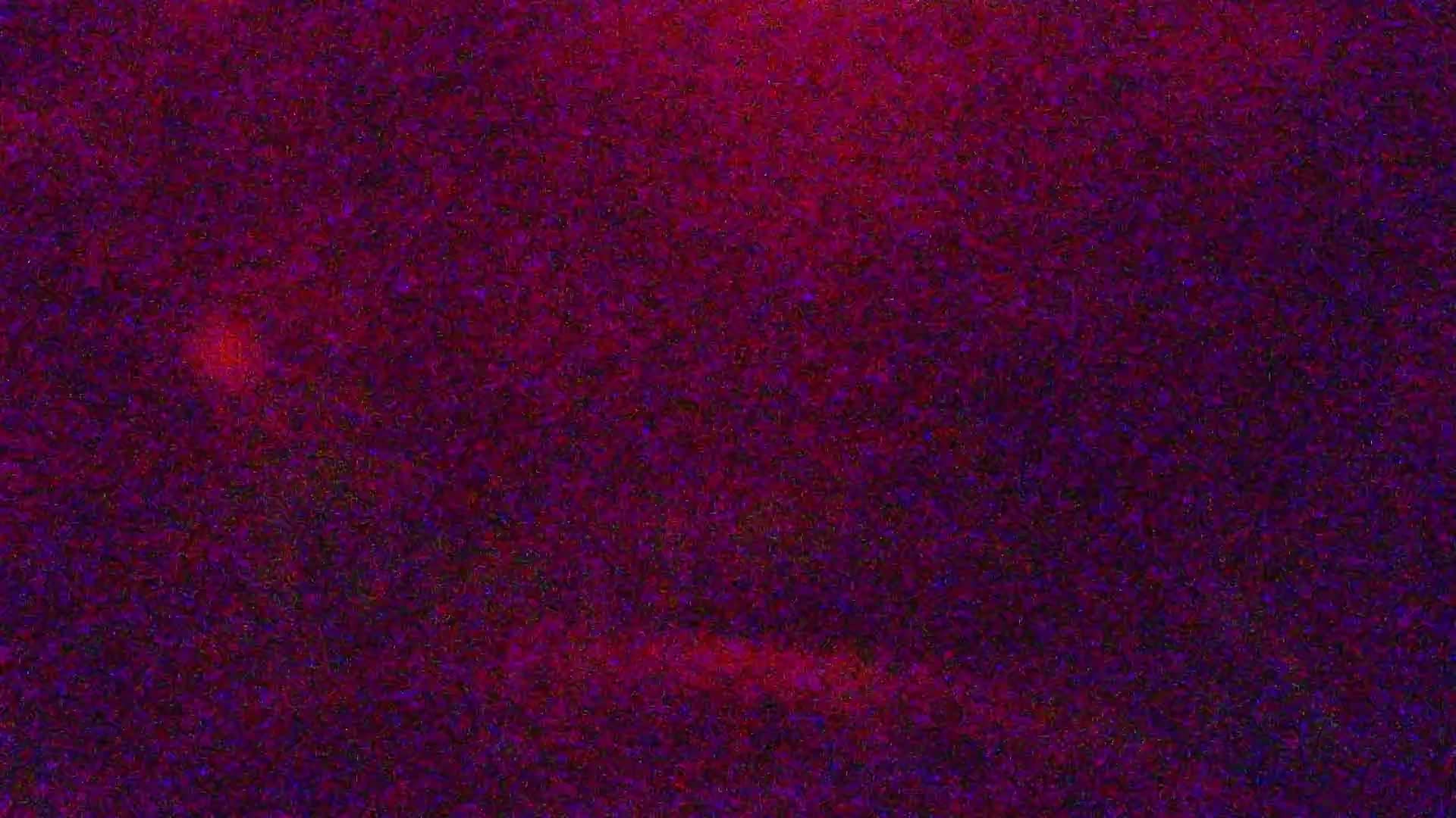 Snowbird Peruvian Gulch snow cam captured at 5 October 2026 at 9:55 pm GMT-6