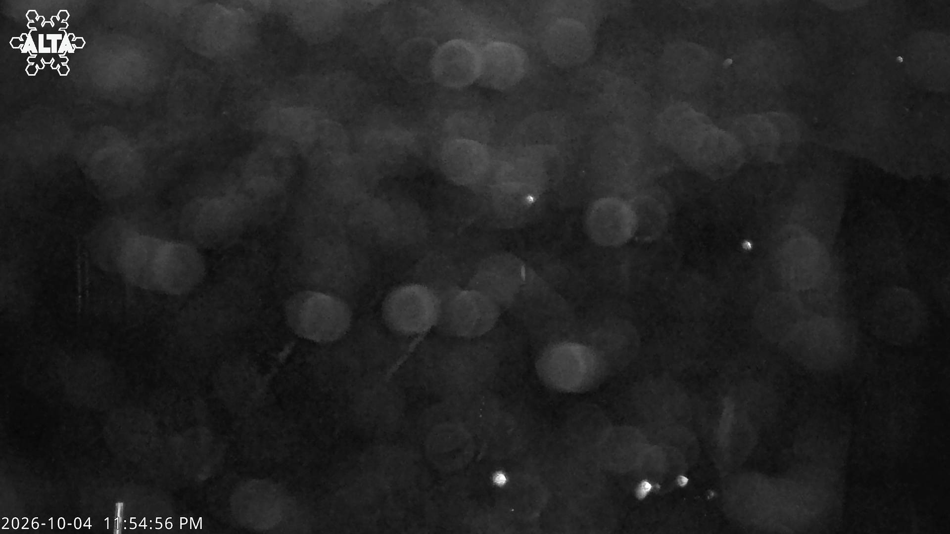 Alta High Rustler snow cam captured at 4 October 2026 at 11:59 pm GMT-6